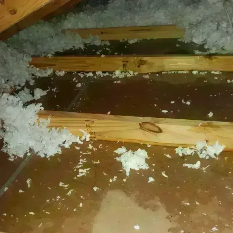 Attic Water Damage in Abingdon, IL