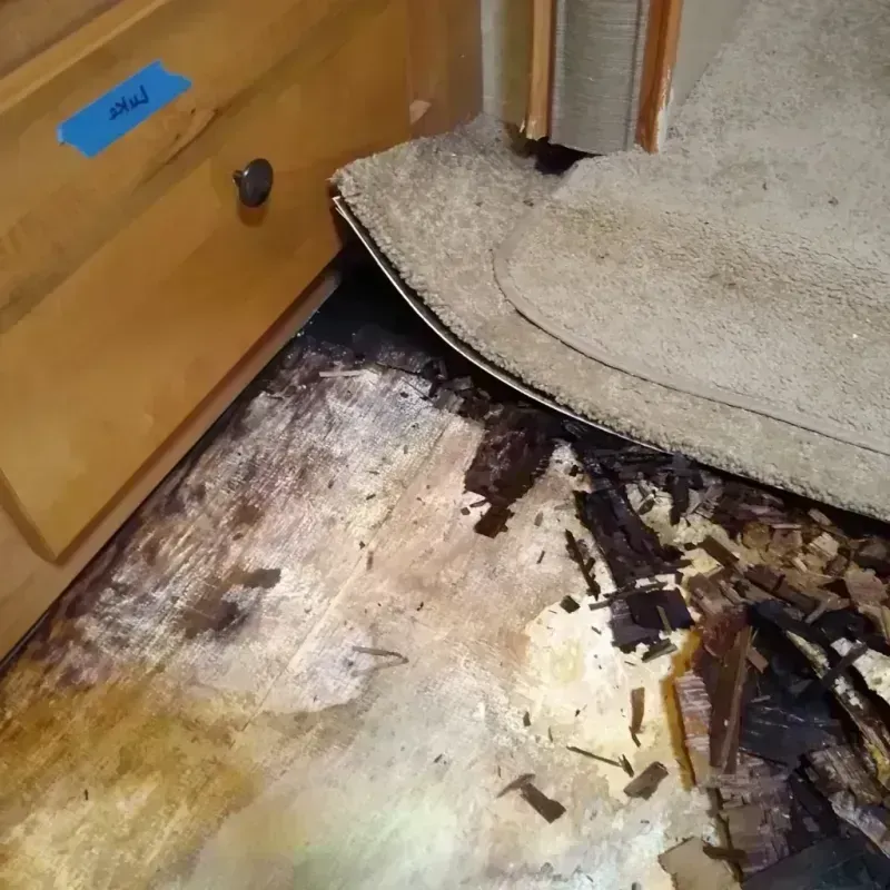 Wood Floor Water Damage in Abingdon, IL